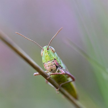 _27A9356-Edit