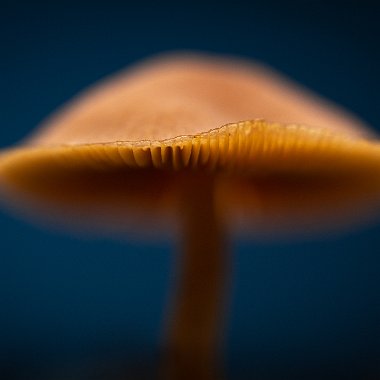 _27A0428