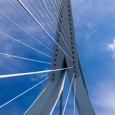 _MG_0260