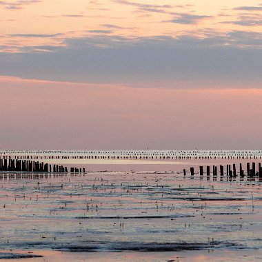 CHO_Lowlands_2022-1936