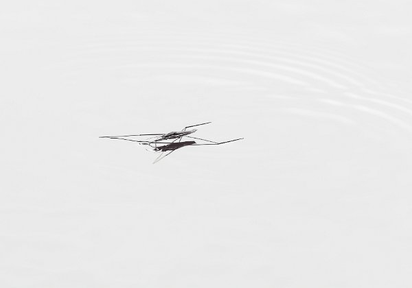 Everywhere and Nowhere