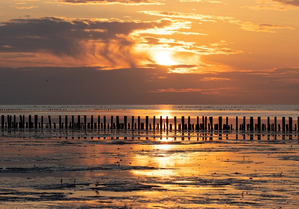 Where the Land meets the Sea